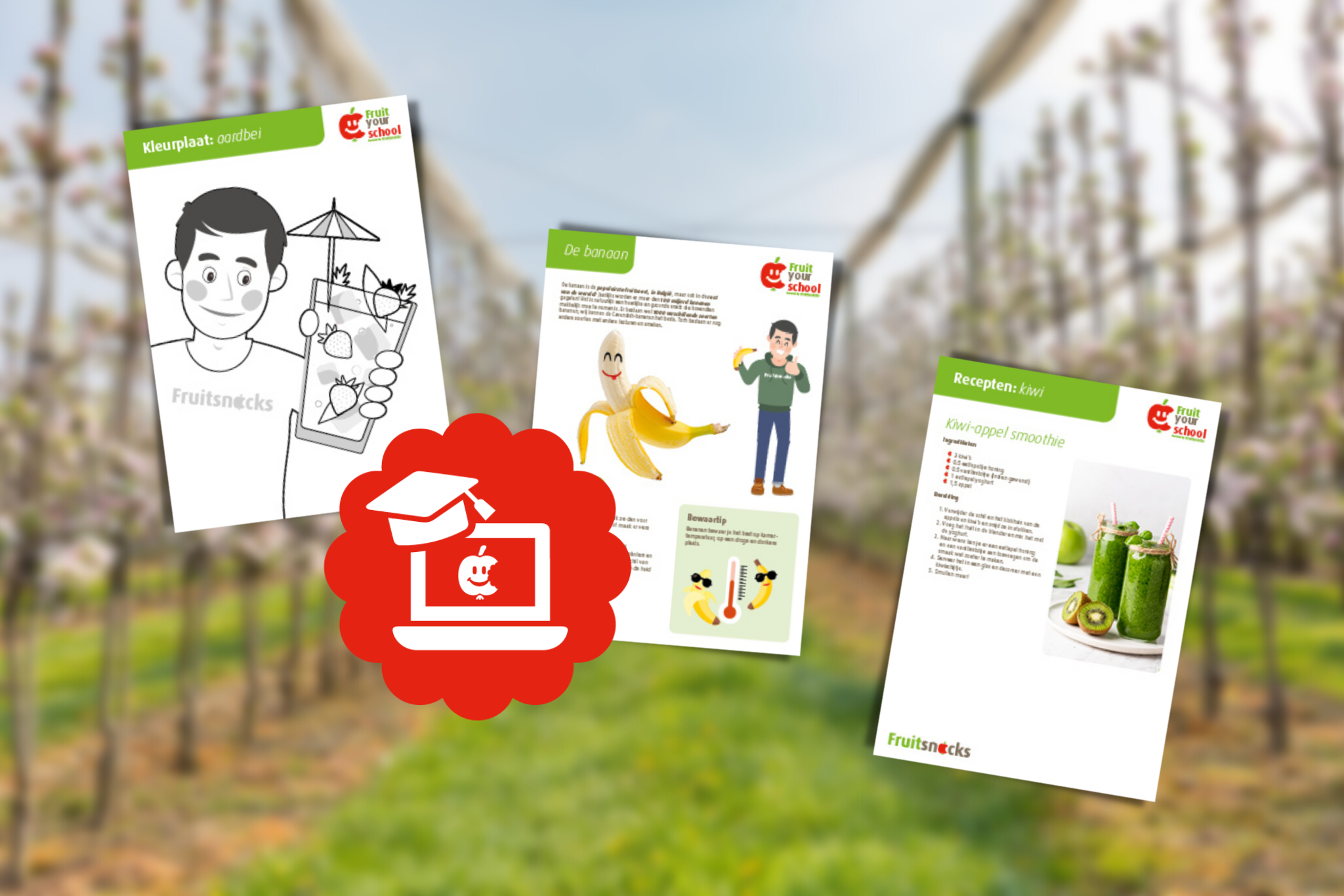 Fruitig lesmateriaal voor in de klas image icon
